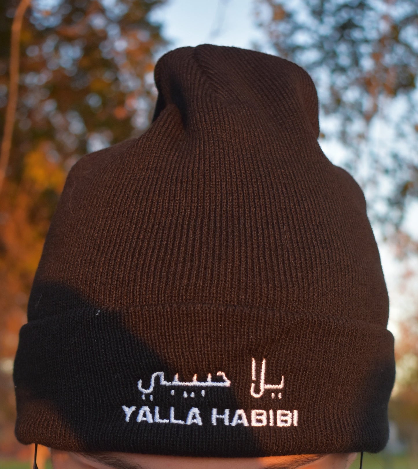 "Yalla Habibi" Embroidered Hoodie